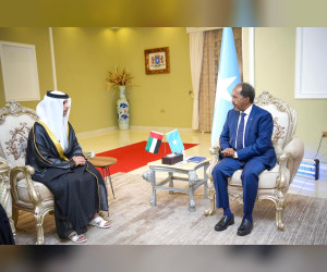 سفير-الإمارات-يقدم-أوراق-اعتماده-لرئيس-الصومال