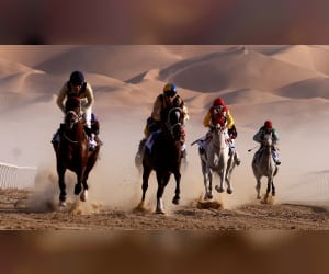 سباق-الخيول-يرفع-وتيرة-الحماس-في-مهرجان-ليوا-الدولي