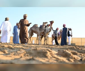 انطلاق-مزاينة-الإبل-في ‘مهرجان-محمد-بن-زايد-لسباقات-الهجن’